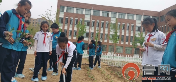 颂党恩跟党走红色薪火永相传东营市东营区瀚文小学党史学习教育在行动