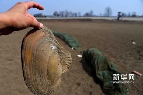 （晚报）（2）山东旱情持续274座水库干涸157条河道断流