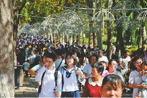 济南西部不少乡镇差距很大 乡村游还在靠天吃饭（图）