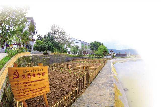 垫江乡村振兴实现良好开局 农业增加值增长5.2%
