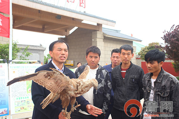 菏泽林业局首席专家、市野生动植物保护协会秘书长王海明向市民和游客宣传保护动物的法律法规