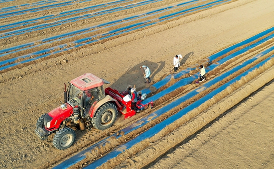 全国粮食春播4.92亿亩 进度过半