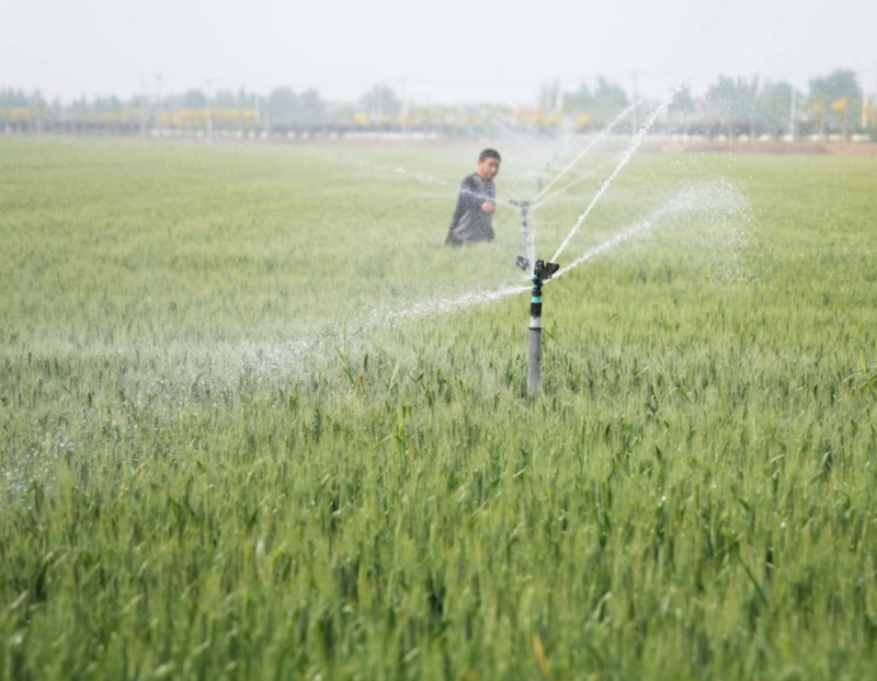 暖阳映照“燕赵”大粮仓 “京畿福地”田管播种忙