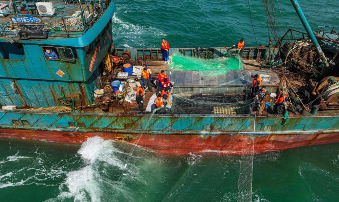 山东荣成:黄渤海伏季休渔期海上“清网”