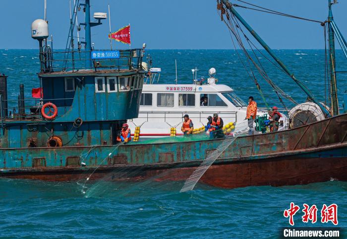 今年黄渤海区休渔时间为5月1日12时至9月1日12时。　?李信君 摄