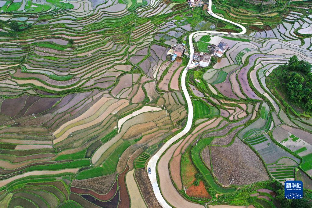 腊利梯田：镶嵌在深山里的“大地指纹”