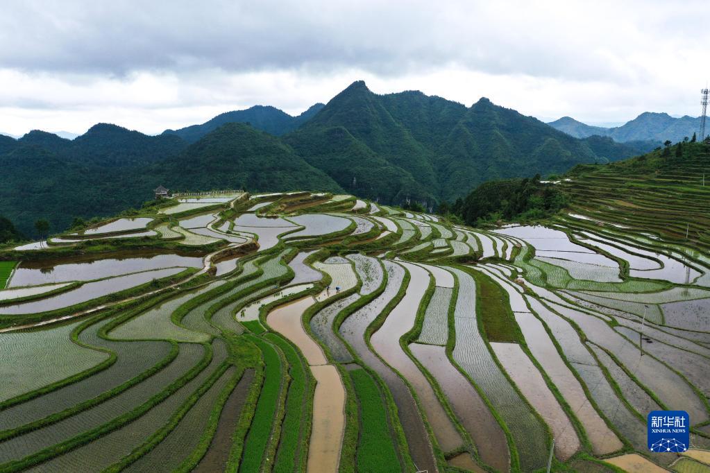 腊利梯田：镶嵌在深山里的“大地指纹”