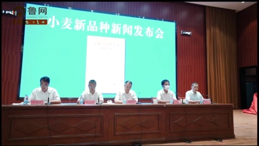 微信图片_20220611222327