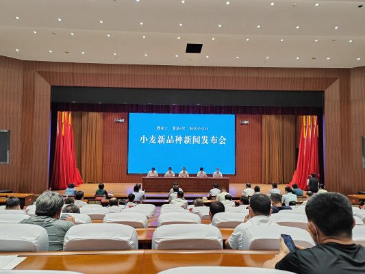 微信图片_20220611221846