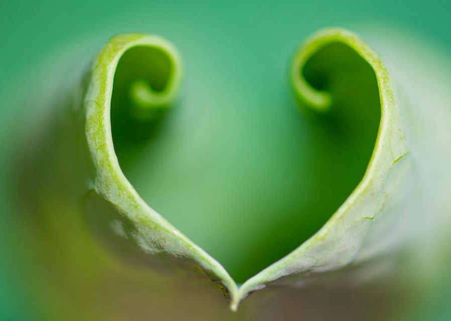 微视界——夏至