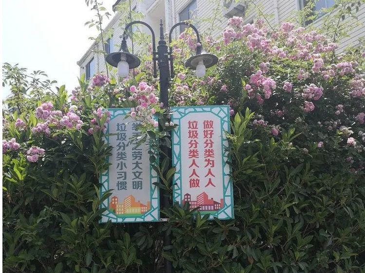 青岛市崂山区金家岭街道垃圾分类“三步走”，引领绿色新时尚