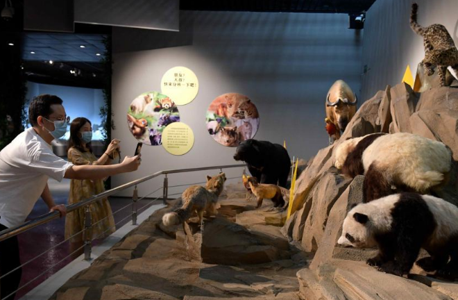 《熊猫时代——揭秘大熊猫的前世今生》展览在石家庄举办