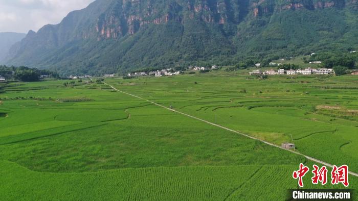 鸟瞰万亩梯田。　张贵元 摄
