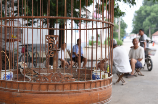 71588635580f834aec226e4e1e9a569