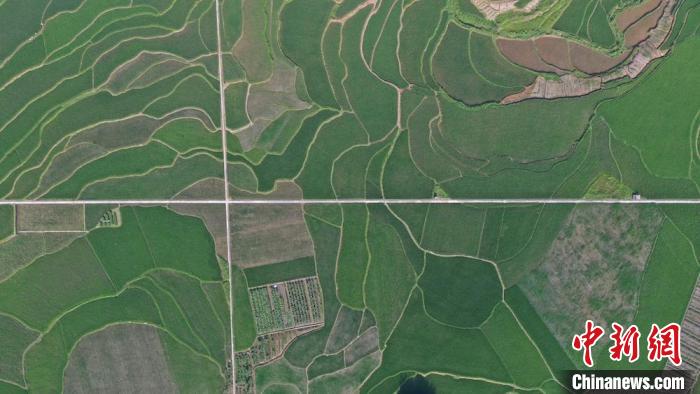 四川叙永：大地织锦良田“丰”景如画