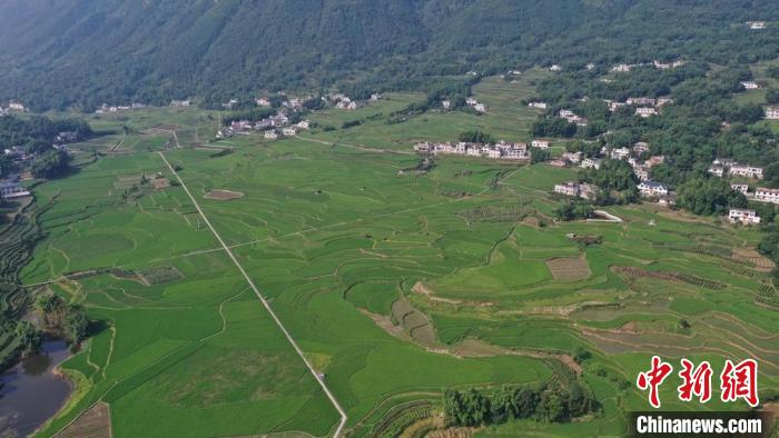 大地织锦，良田美如画。　郑云霞 摄