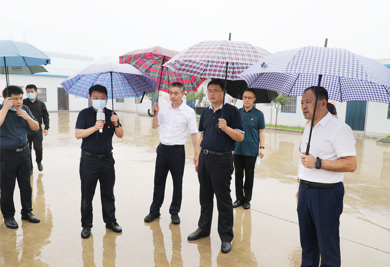 赵纪钢到临港区调研
