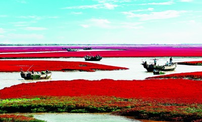 辽宁:“滚石上山”奔振兴 辽宁:“滚石上山”奔振兴