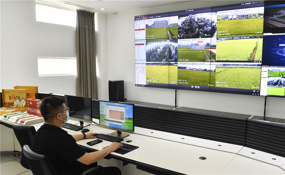 吉林：加快推动全面振兴、全方位振兴