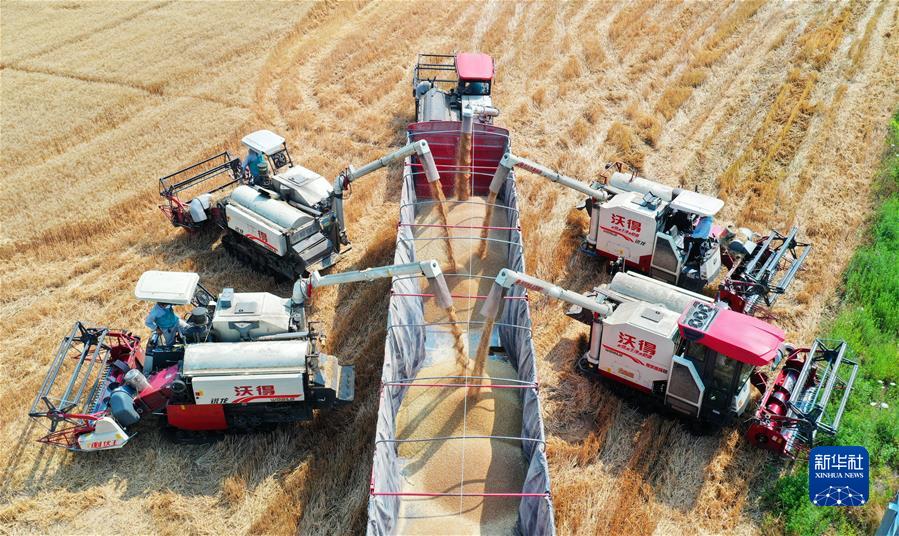 (新华全媒头条·奋进新征程 建功新时代·非凡十年·图文互动)(3)安徽:科技进步添动力 创新发展谱新篇