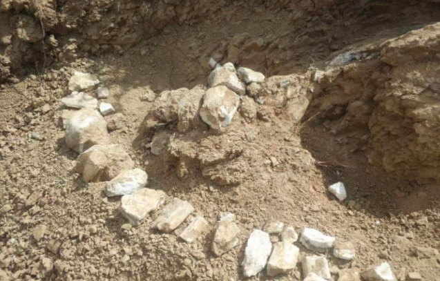 新疆温泉县发现八百万年前三趾马动物群化石