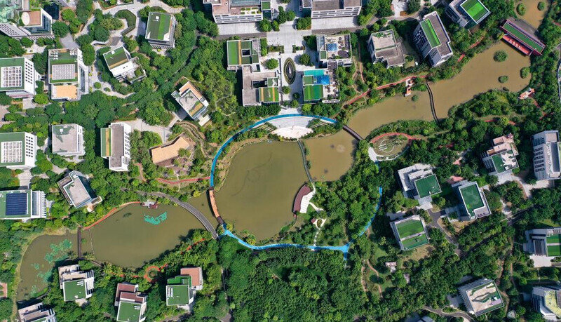 海南澄迈:以数字化转型探索新发展路径