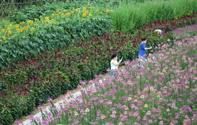 河北滦平:打造多业态全域旅游格局