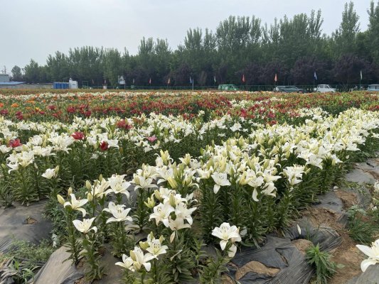 微信图片_20220902181908