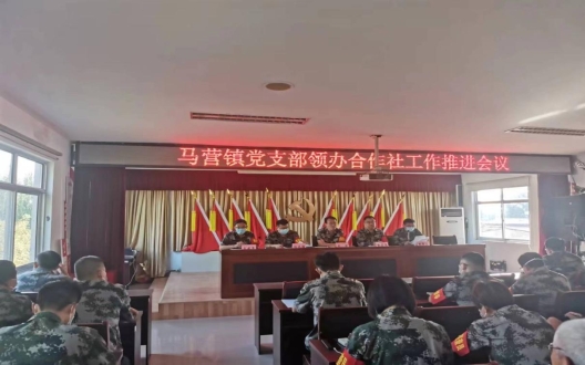 党建引领致富路产业振兴惠民生——济宁马营镇党支部领办合作社工作情况