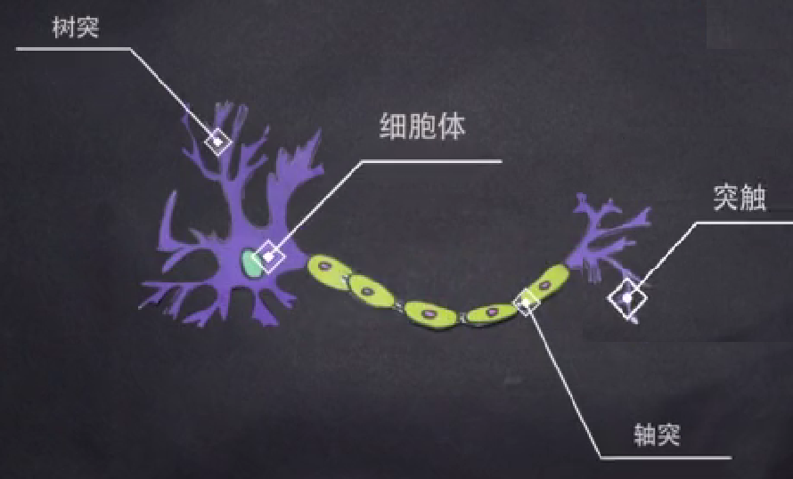 人未老，脑先衰？如何拯救记忆力？