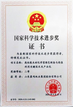 从“一棵树”到“一张纸” 晨鸣“林浆纸一体化”全产业链“向绿而行”