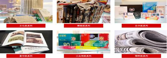 从“一棵树”到“一张纸” 晨鸣“林浆纸一体化”全产业链“向绿而行”