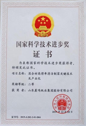 从“一棵树”到“一张纸” 晨鸣“林浆纸一体化”全产业链“向绿而行”