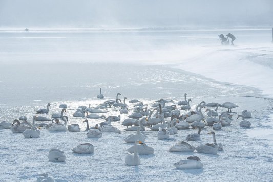 威海市风雪影人(荣成) 刘军