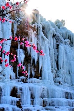 972384fd88832a03c34f89502c22173