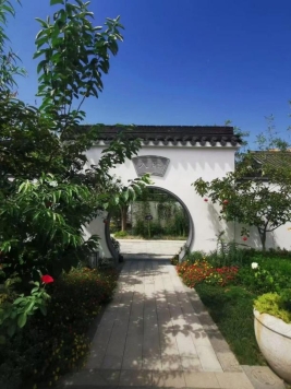 b62ad57e50d72191e42a3b3201d3a9d