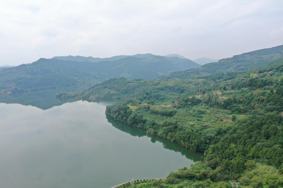 张家岩水库直接引水至老鹰水库管道工程项目