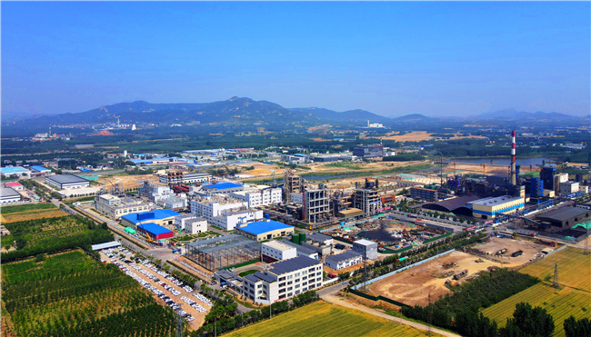 肥城市：聚焦优势产业 聚力项目建设 为高质量发展蓄势赋能
