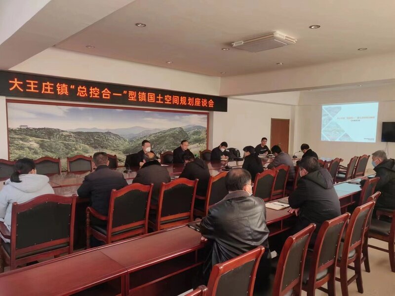 济南市莱芜区大王庄镇：做好国土空间规划优化提升营商环境