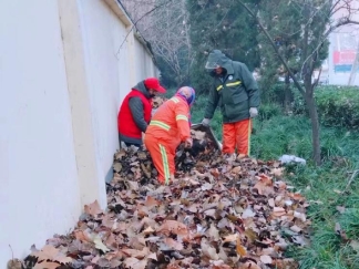 微信图片_202212161936524