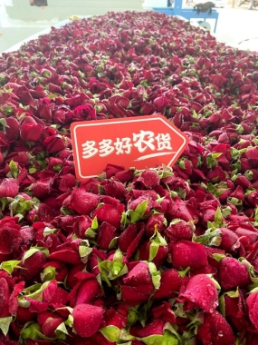 微信图片_20221102094847