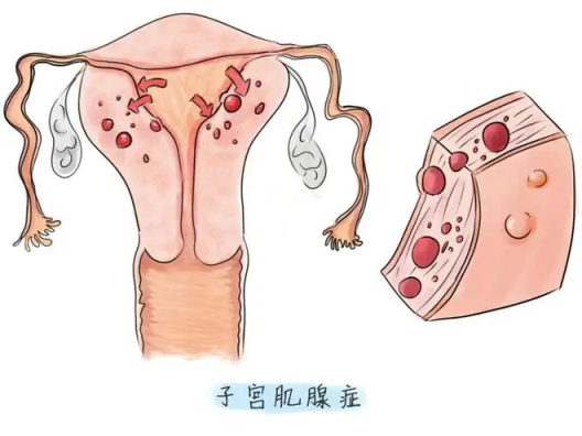 微信图片_20221219171434