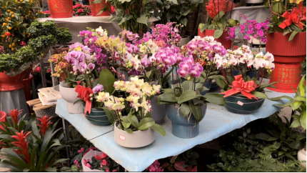 微信图片_20230121174624