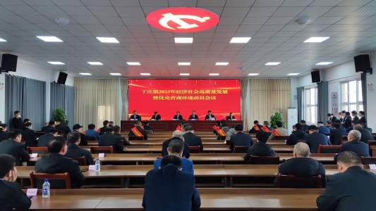 德州市陵城区丁庄镇扎实推进招商引资激活经济发展新引擎