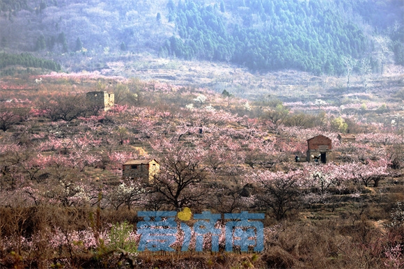 泉城“后花园”春色醉人