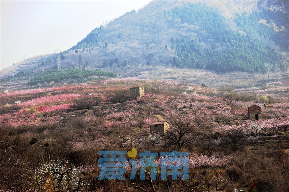 泉城“后花园”春色醉人