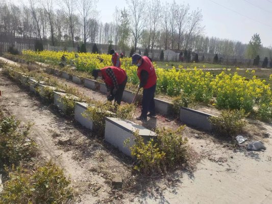 2eb8b46d7b850e5d8d86e7227b1fafe