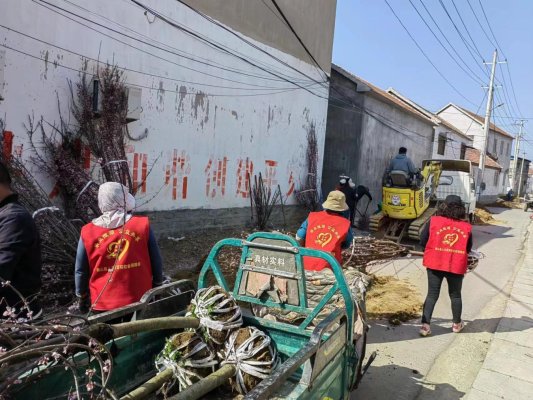 微信图片_20230330100254