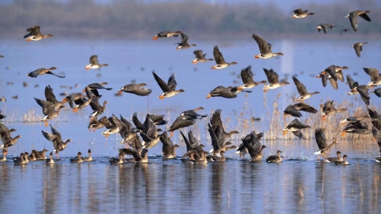 7c8679359ed3101ed58d30f890f8d6b