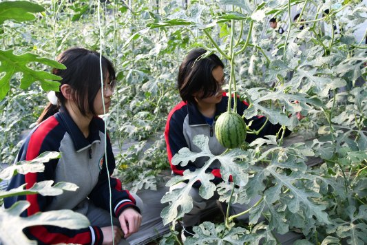 微信图片_20230331100606